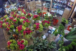 Floral arrangements