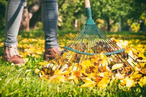 fall cleanup