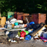 Benefits of Our Trash Removal Services