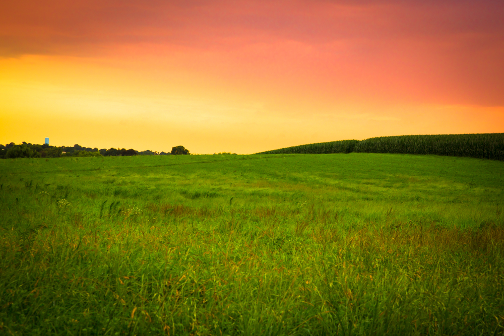 Meadow Sunset Pennsylvania