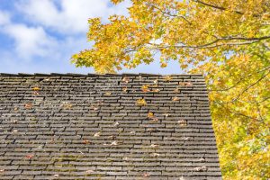 Old roof in the fall with yellow leaves falling on it