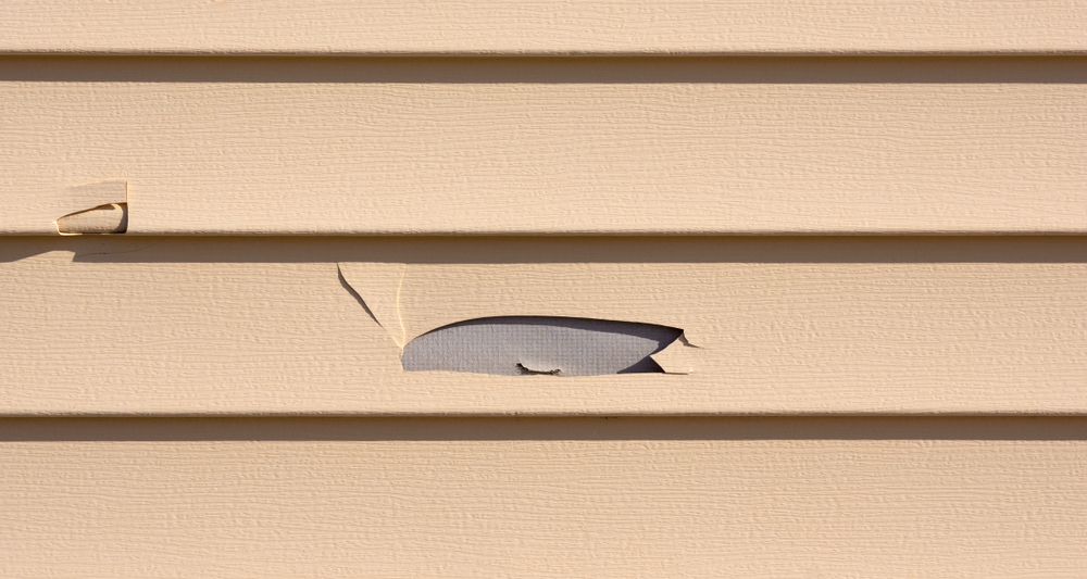 cracked vinyl siding