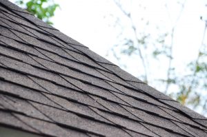 Roof Options for Delmarva homes