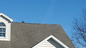 roof with fixed shingles